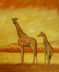 Obraz - Dvě žirafy | 50 cm x 40 cm , 60 cm x 50 cm , 70 cm x 60 cm , 75 cm x 90 cm , 100 cm x 80 cm , 120 cm x 100 cm 