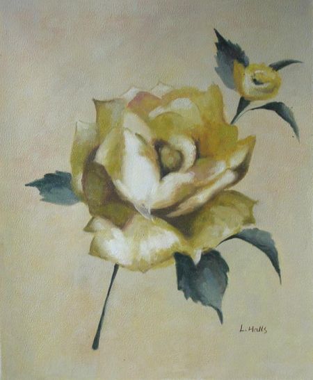Obraz - Bílá růže