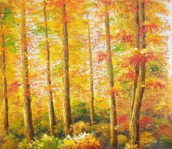 Obraz - Podzimní les | 50 cm , 60 cm x 70 cm , 75 cm x 90 cm , 80 cm x 100 cm , 100 cm x 120 cm 