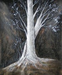 Obrazy - Starý strom