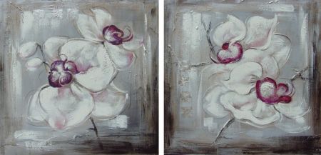 Obrazové sety - Bílé květy