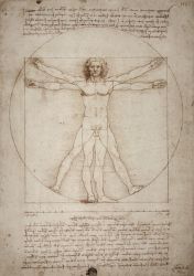 Leonardo da Vinci | 50 cm , 85 cm x 60 cm 