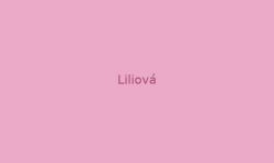 Liliová  - Samolepka na zeď - DESIGNOVÉ KVĚTY