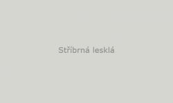 Stříbrná lesklá  - Samolepka na zeď - OTISK PRSTU